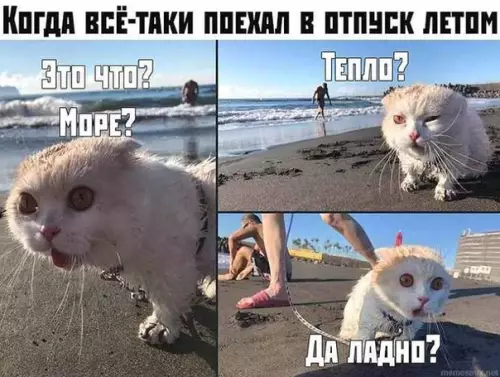 Смешная картинка №379288