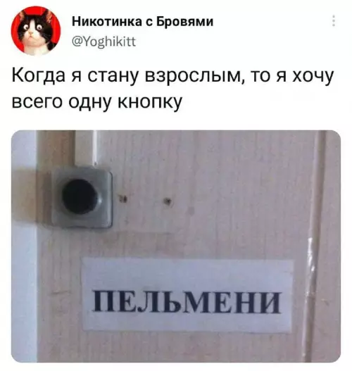 Смешная картинка №720071 Пельмени 