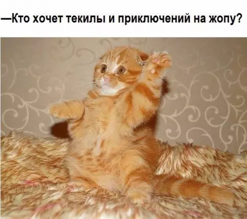 Смешная картинка №417008