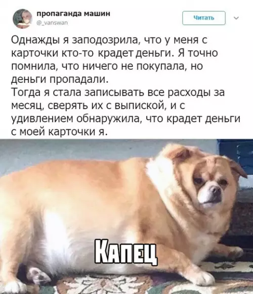 Смешная картинка №383125