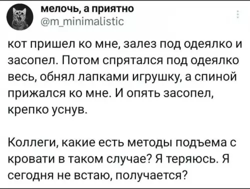 Смешная картинка №742086 Это серьезно 