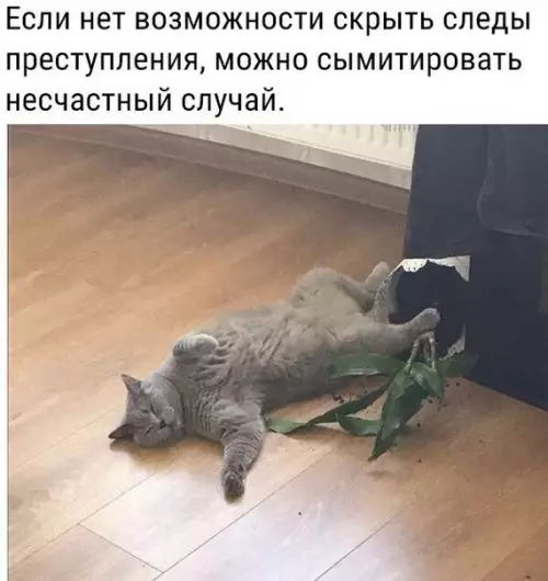 Смешная картинка №225019