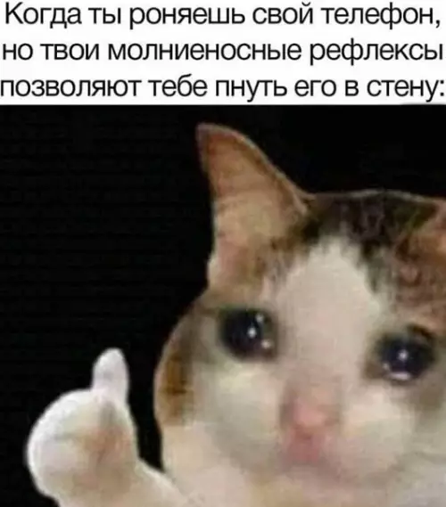 Смешная картинка №553593