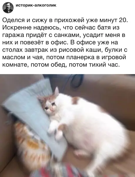 Смешная картинка №316549