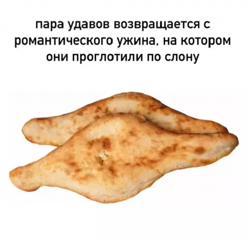 Ужин по высшему разряду 🐘😂 - пара удавов возвращаеться с романтического ужина, на котором они проглотили