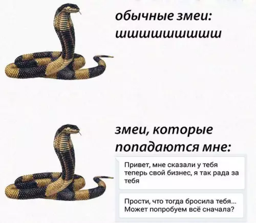 Смешная картинка №275434