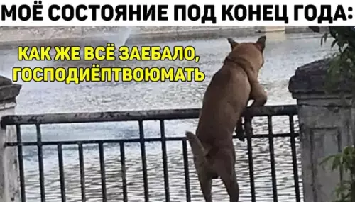 Смешная картинка №539483