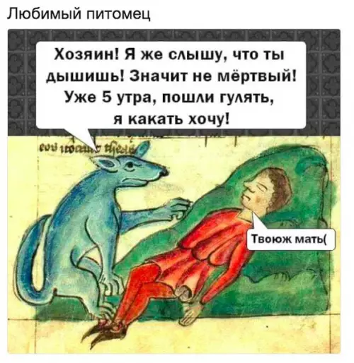 Смешная картинка №219345 собаки