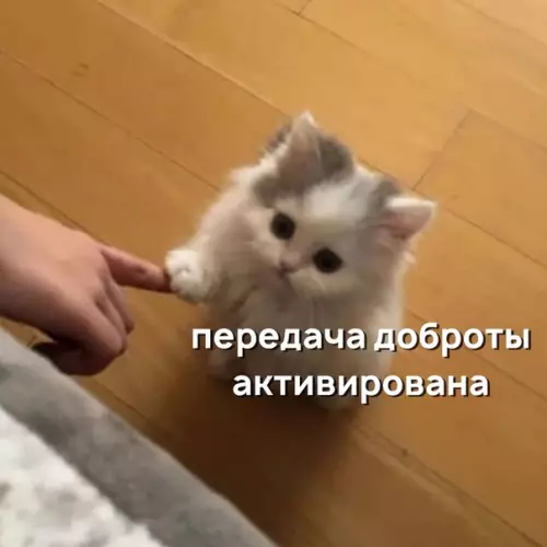 Смешная картинка №532417 Как стать добреньким