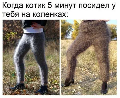 Смешная картинка №206201