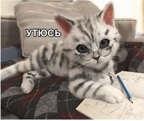 Смешная картинка №272260