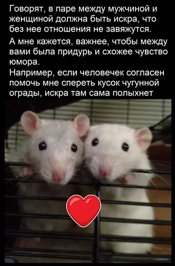 Смешная картинка №762531