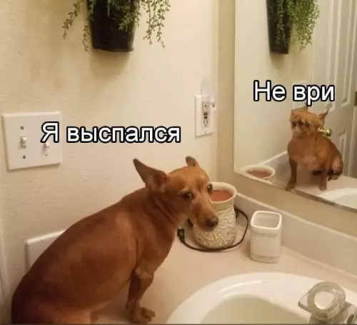 Смешная картинка №684228