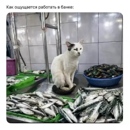 Работа в банке: ожидания vs реальность 😂 - Как ощущается работать в банке: