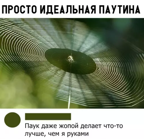 Смешная картинка №303345