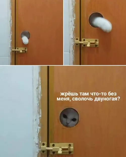 Смешная картинка №665042