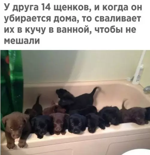 Смешная картинка №215640
