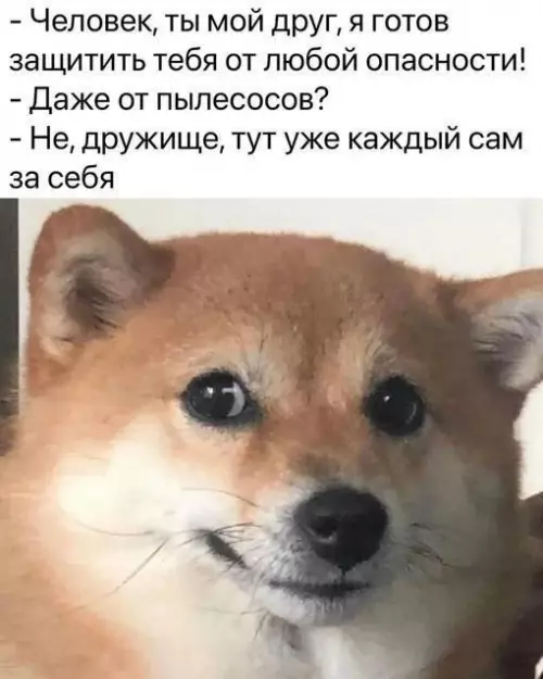 Смешная картинка №702510
