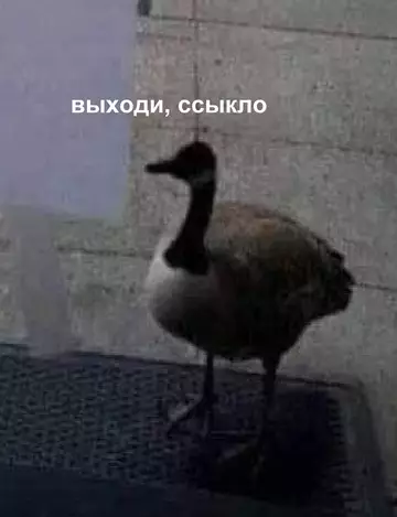 продолжение Смешная картинка №758598