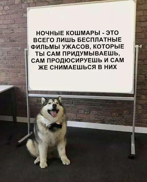 Смешная картинка №361357
