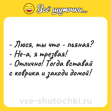 Шутка: - Люся, ты что - пьяная?<br>- Не-а, я трезвая!<br>- Отлично! Тогда вставай с коврика и заходи домой!
