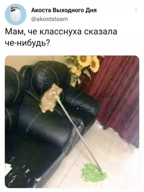 Смешная картинка №656396