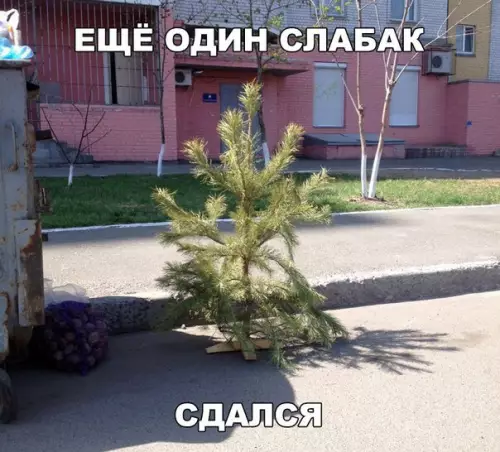 Смешная картинка №267921