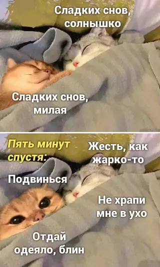 Смешная картинка №655217