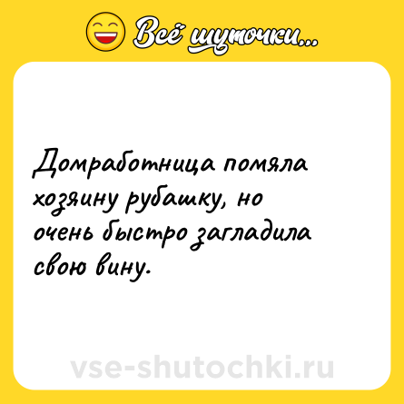 Шутка: Домработница помяла хозяину рубашку, но очень быстро загладила свою вину.
