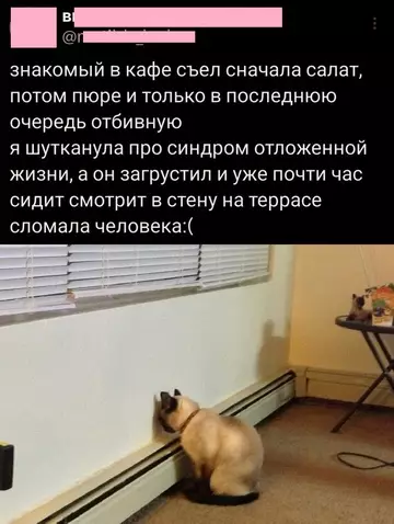 Смешная картинка №757937 Что ты наделала?!