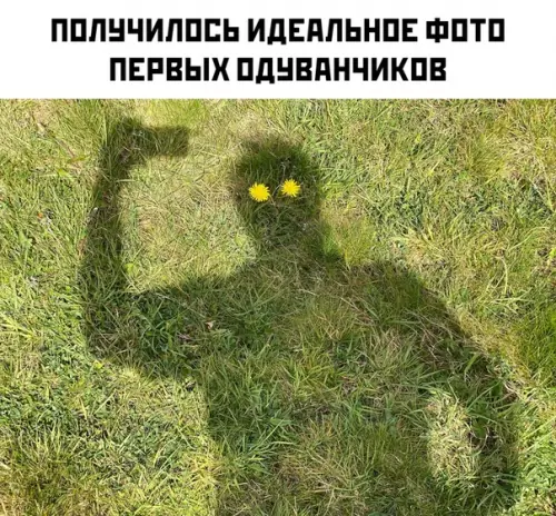 Смешная картинка №489423