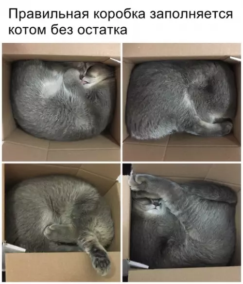 Смешная картинка №322790