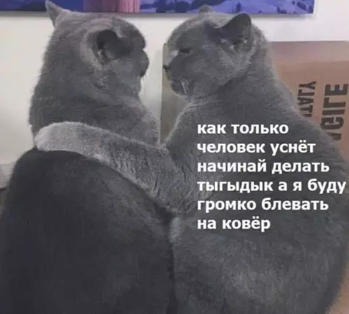 Смешная картинка №475474