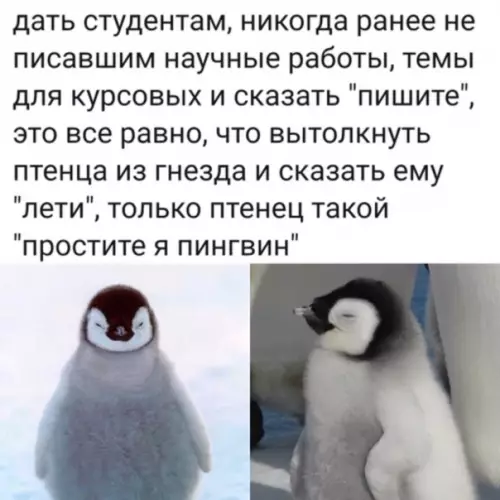 Смешная картинка №489422 Хорошая параллель студенты