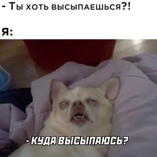 Смешная картинка №640779