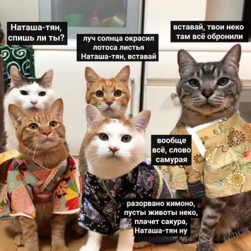 Смешная картинка №500379 Тем временeм где-то в Японии.... наташа