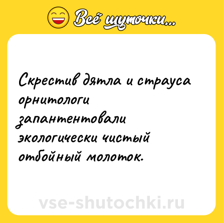 Шутка: Скрестив дятла и страуса орнитологи запантентовали экологически чистый отбойный молоток.