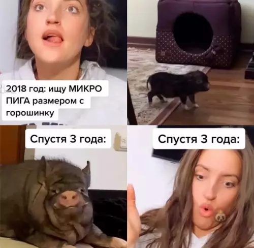 Смешная картинка №581963 Я так же женился ?