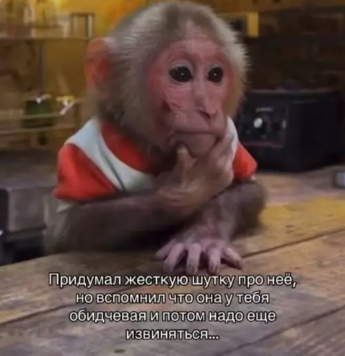 Тот самый момент выбора 🙊 - Придумал жесткую шутку про неё, но вспомнил что она у