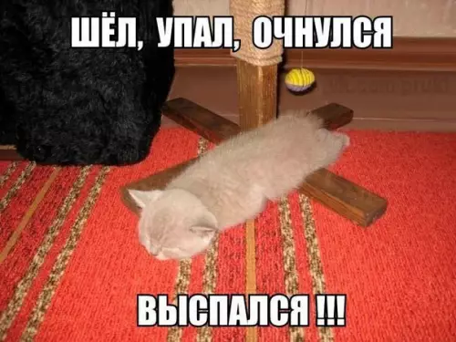 Смешная картинка №208907