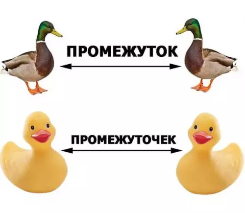 Смешная картинка №506005 И бoльше не путaйтe!