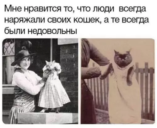 Смешная картинка №804380