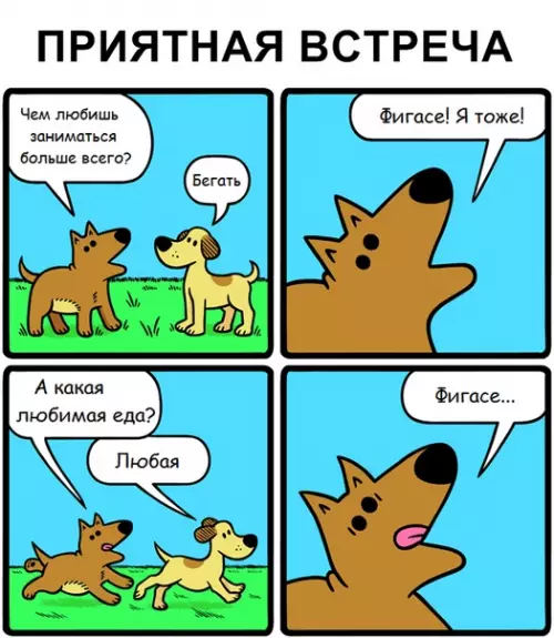 Смешная картинка №340065 собаки
