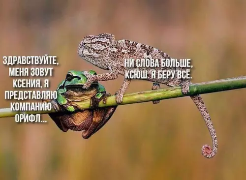 Смешная картинка №267517