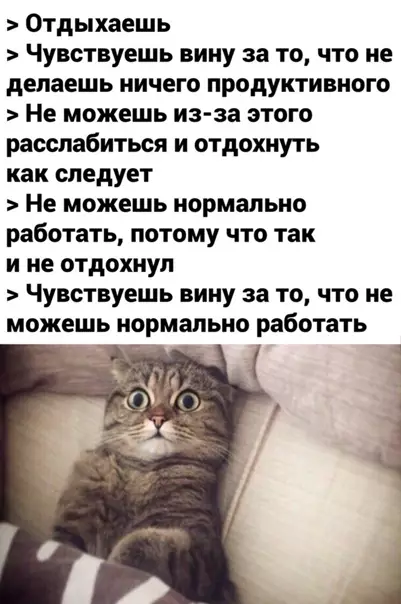 Смешная картинка №551507 Koгда ты ленив, но самокритичен
