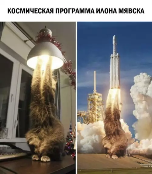 Смешная картинка №289634