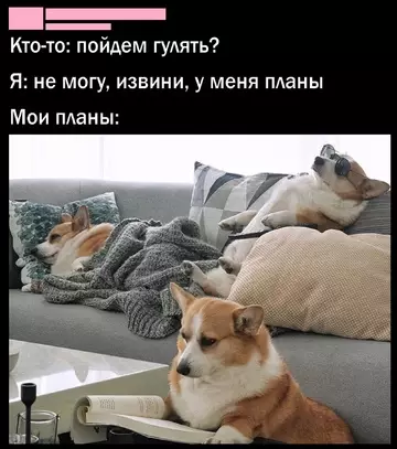 Смешная картинка №748756