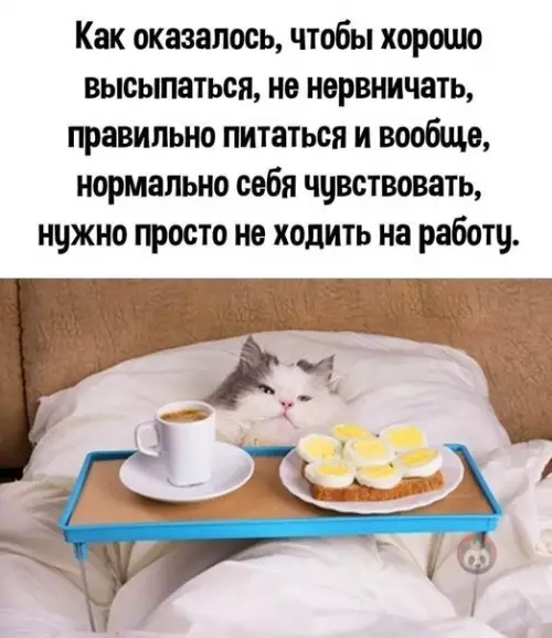 Смешная картинка №592661 Оказывается, все проще простого!