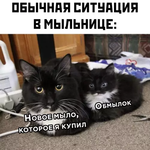Смешная картинка №561768