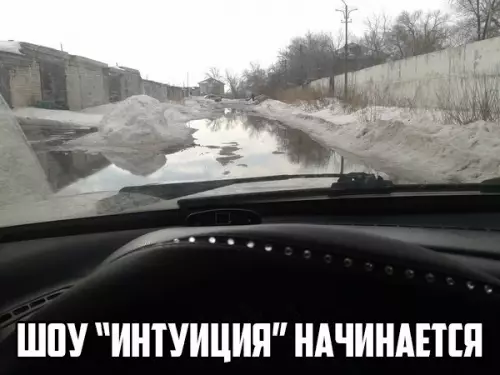 Смешная картинка №250677